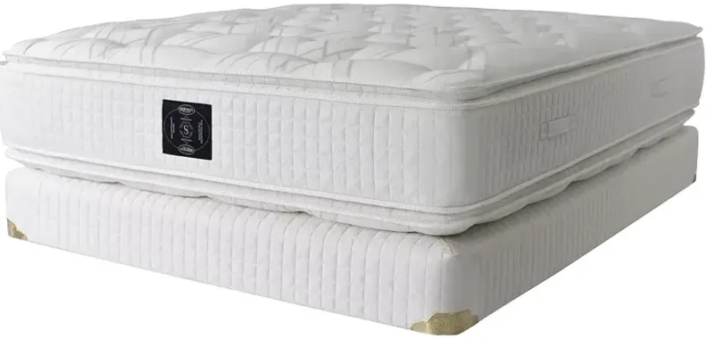 Classic Magnificence Plush Pillow Top Twin Mattress & Box Spring Set â 100% Exclusive