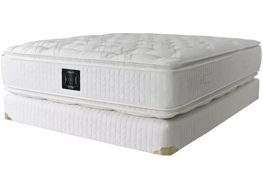 Classic Magnificence Plush Pillow Top Split Queen Mattress & Box Spring Set â Exclusive