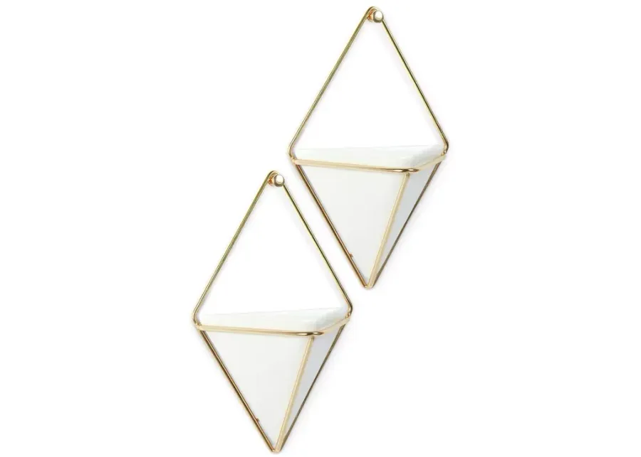 Umbra Small Trigg Wall Display Set 