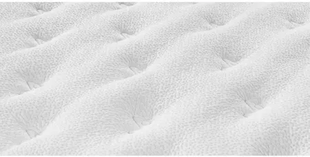 Asteria Natural Two Sided Mattress Topper, Queen - 100% Exclusive