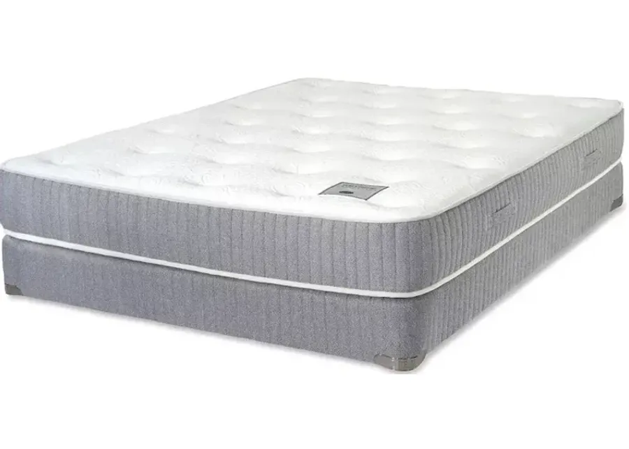 Shifman Gallant Latex Mattress Collection California King Mattress Only