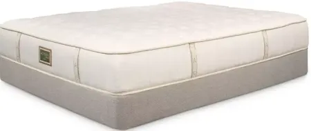 Asteria Natural Terra Plush Tight Top Twin XL Mattress Only - 100% Exclusive