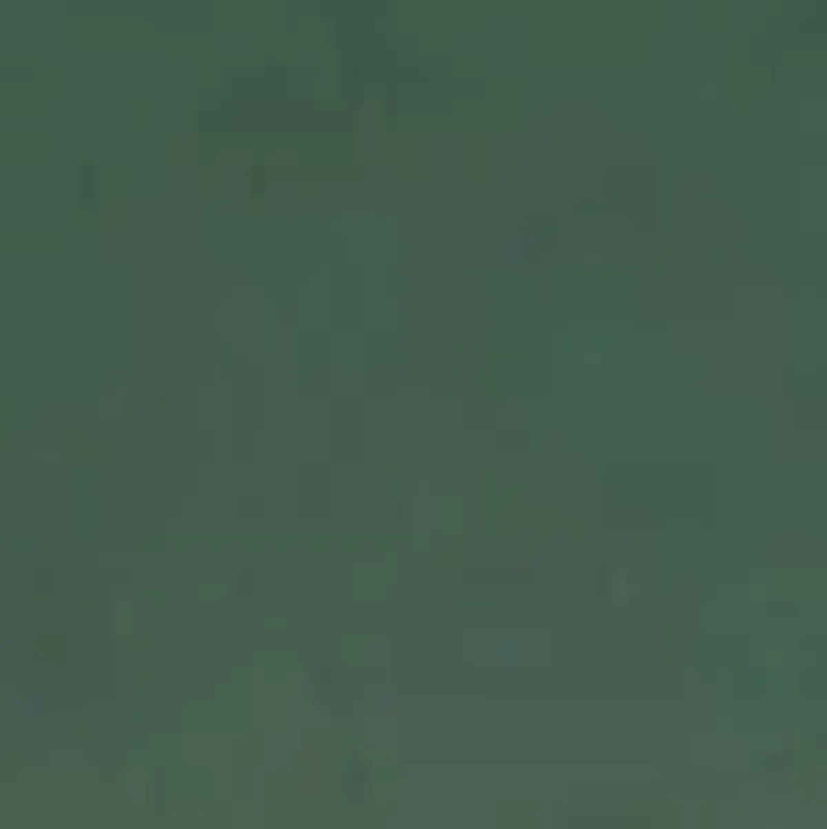 Safavieh Camille Side Chair, Set of Two