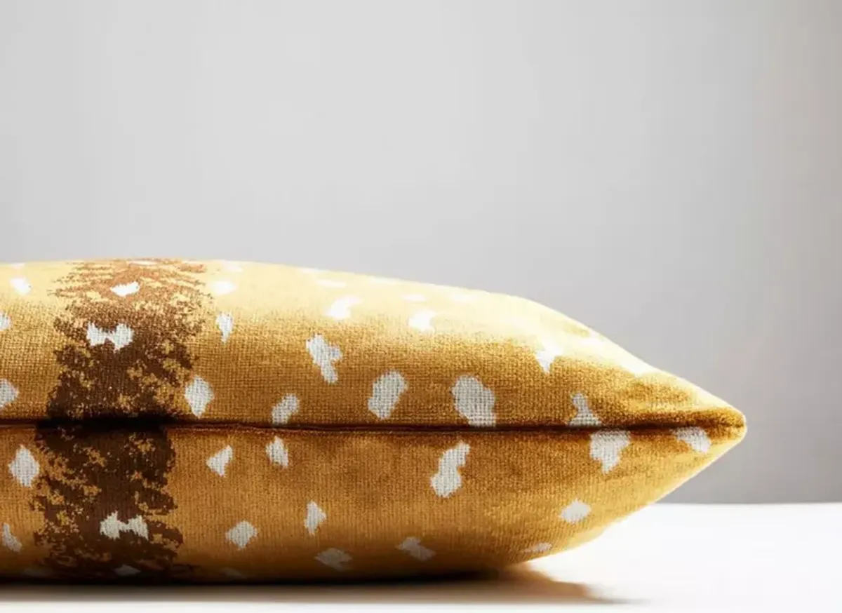 Scalamandre Antelope Pillow 