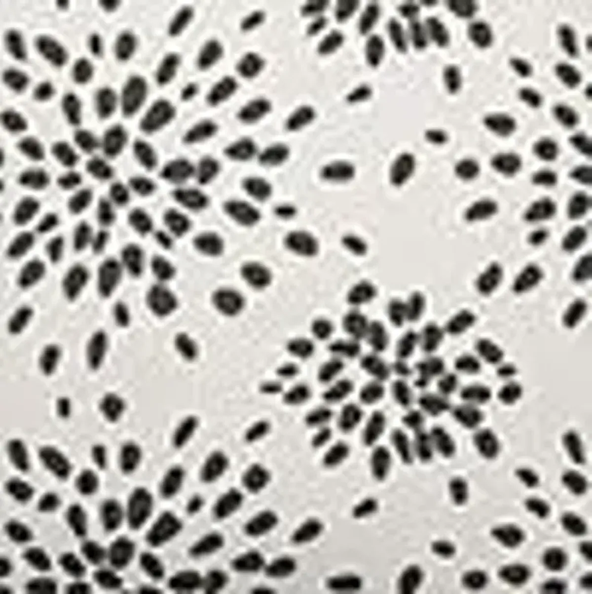 Scalamandre Fireworks Pillow