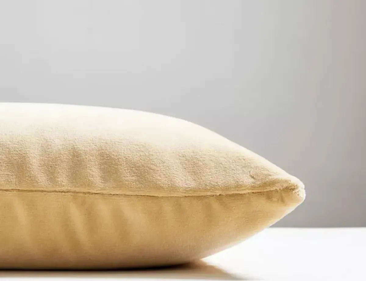 Scalamandre Torino Velvet Decorative Pillow, 22" x 22"