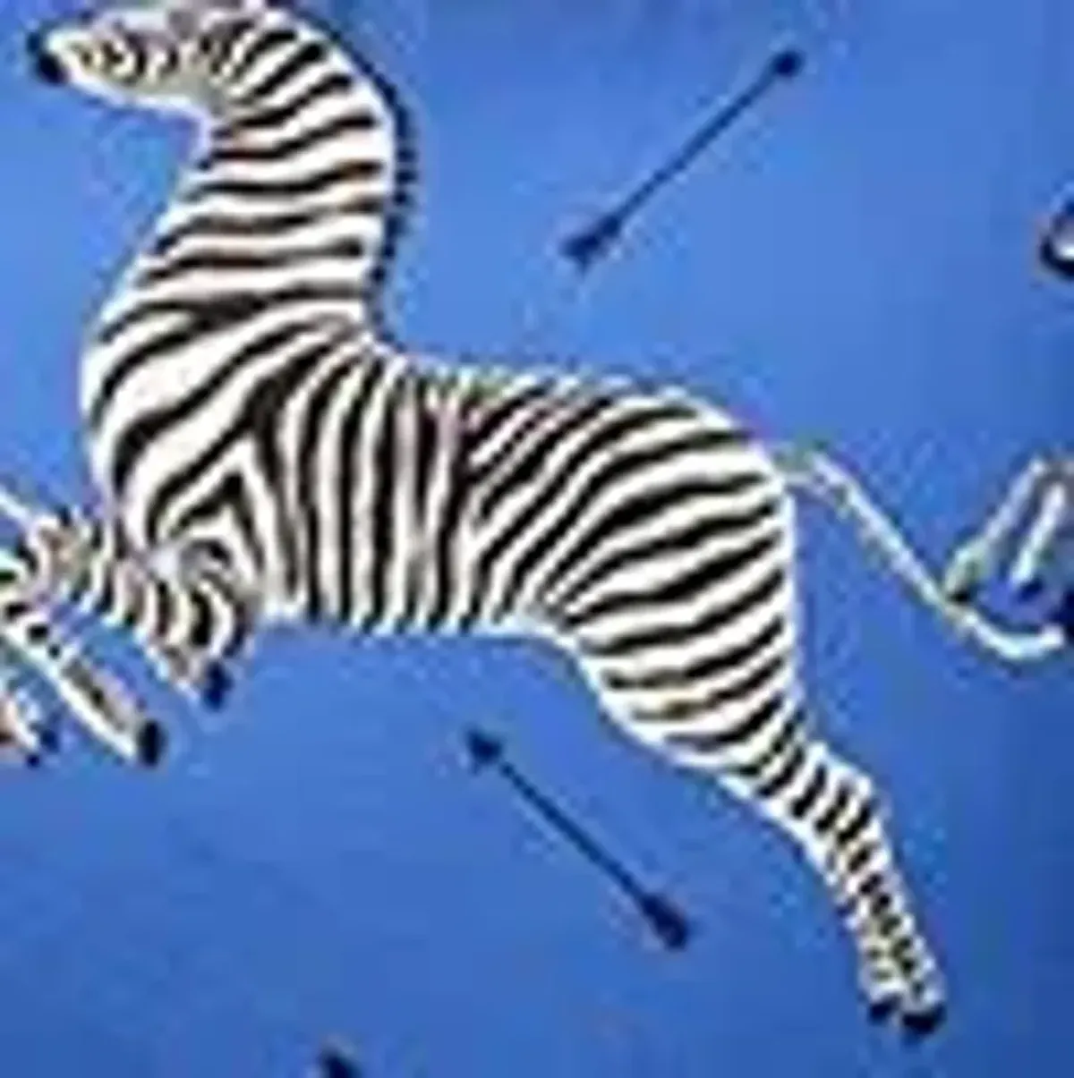 Scalamandre Zebra's Petite Decorative Pillow, 22" x 22"