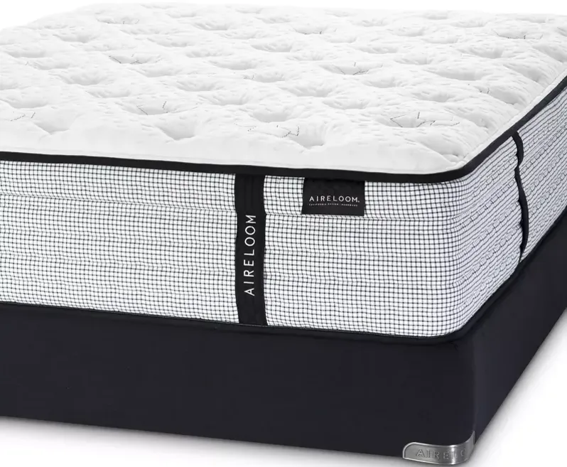 Aireloom Grant Plush Collection Twin XL Mattress & Box Spring Set - 100% Exclusive