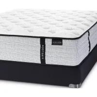 Aireloom Grant Plush Collection Queen Mattress & Box Spring Set - 100% Exclusive