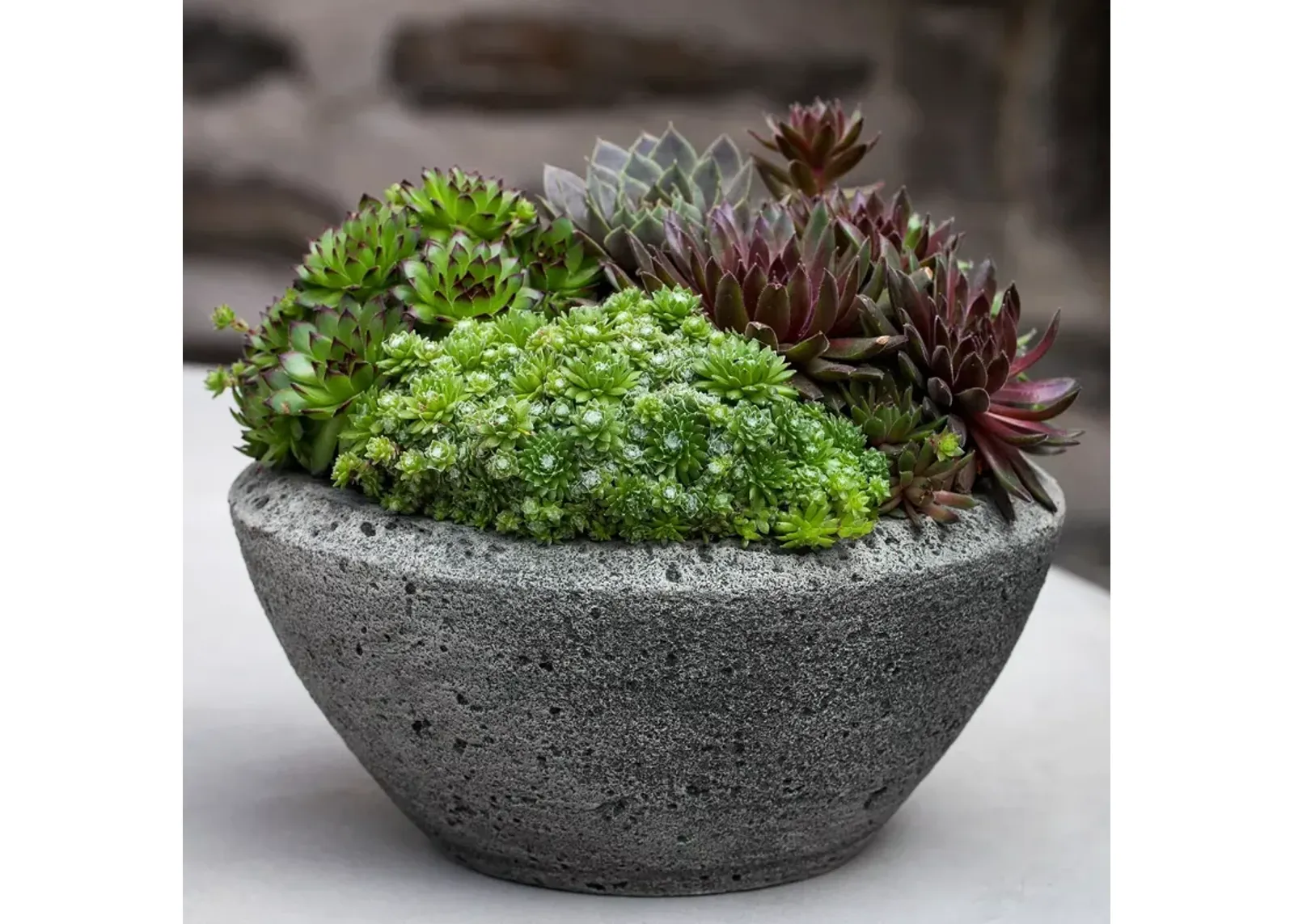 CAMPANIA INTERNATIONAL Rustic Low Bowl Planter