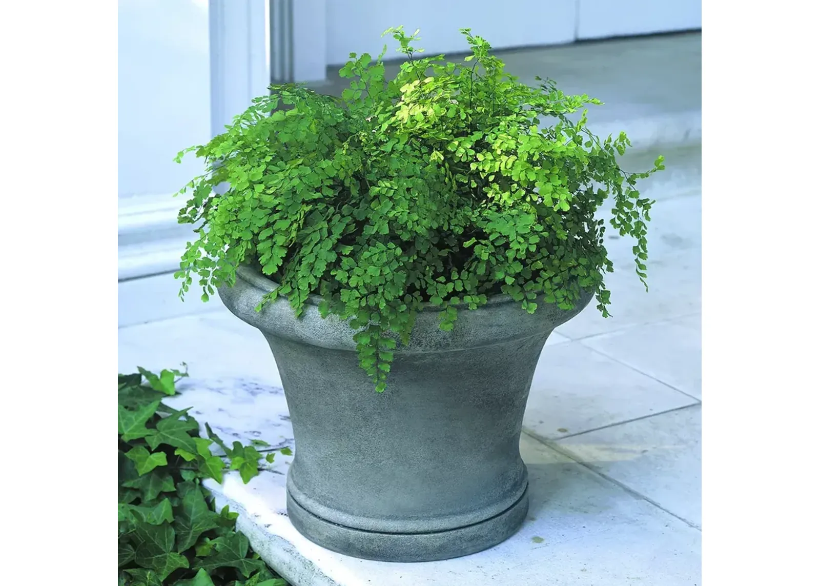 CAMPANIA INTERNATIONAL Westport Planter