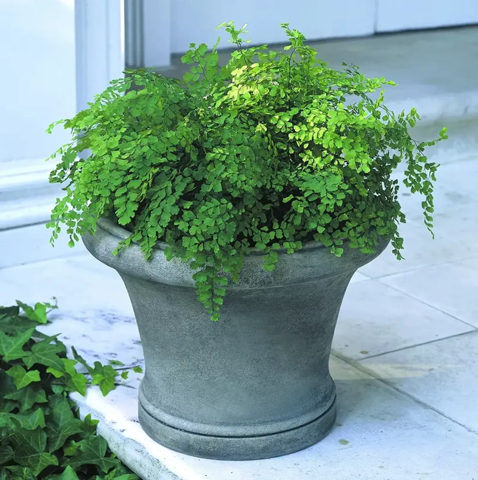 CAMPANIA INTERNATIONAL Westport Planter