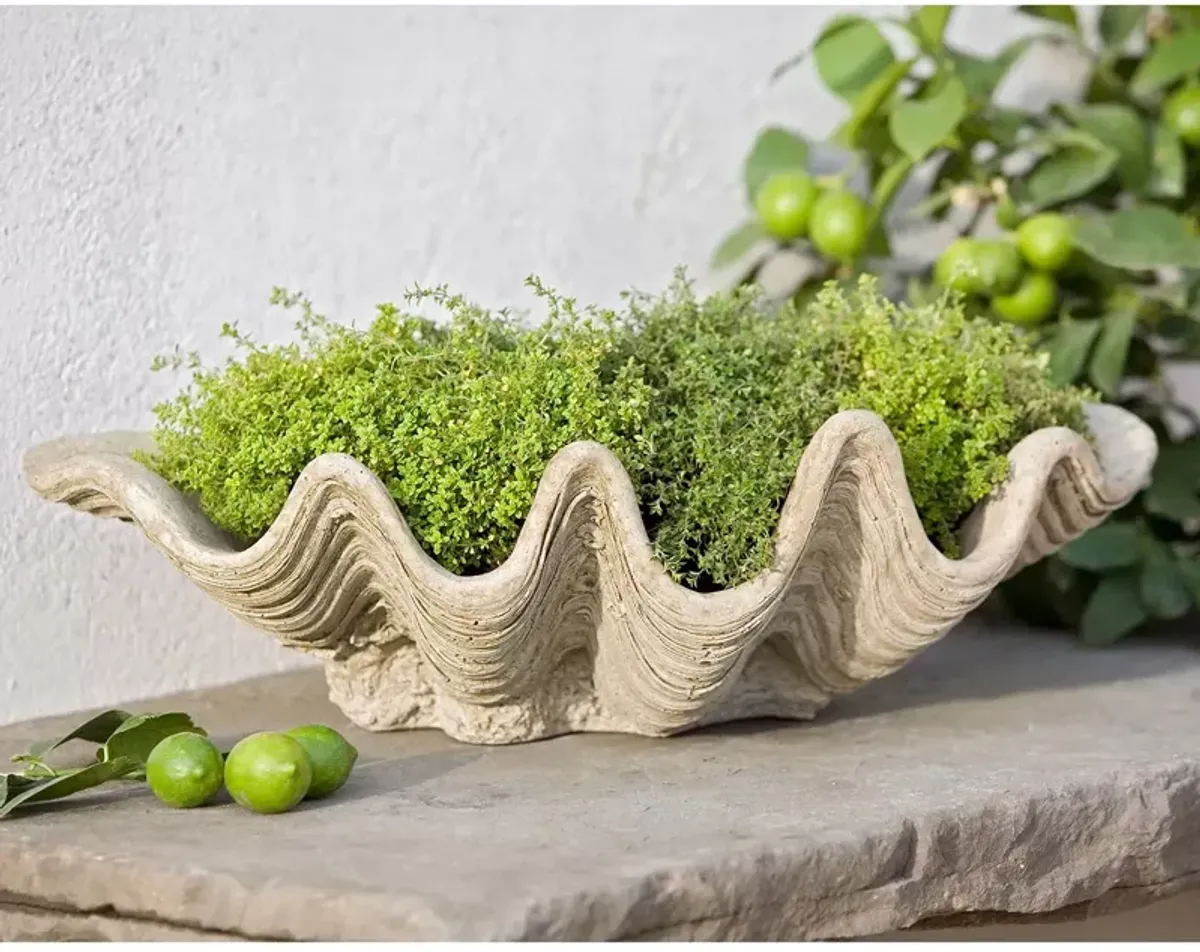 CAMPANIA INTERNATIONAL South Seas Planter