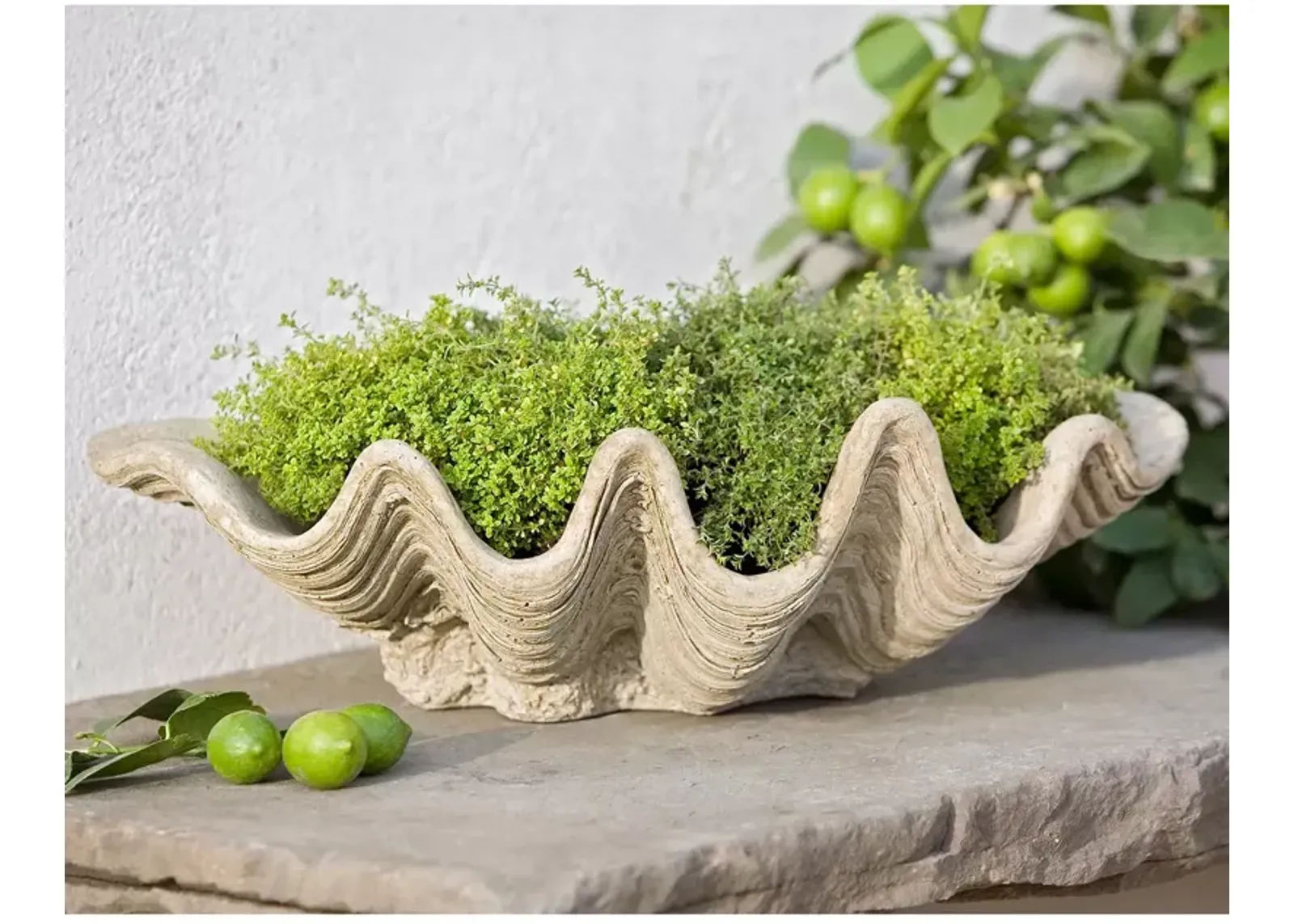 CAMPANIA INTERNATIONAL South Seas Planter