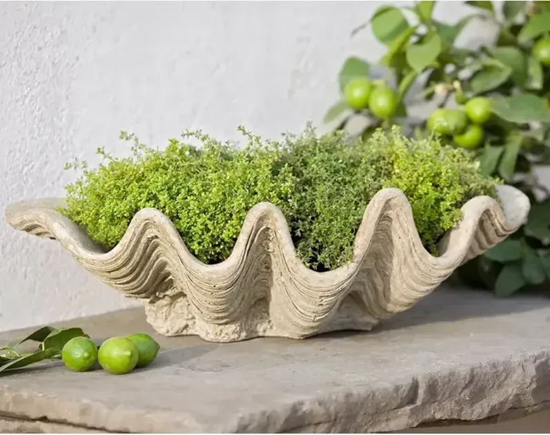 CAMPANIA INTERNATIONAL South Seas Planter