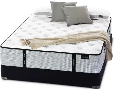 Aireloom Grant Firm Collection Twin Mattress & Box Spring Set - 100% Exclusive