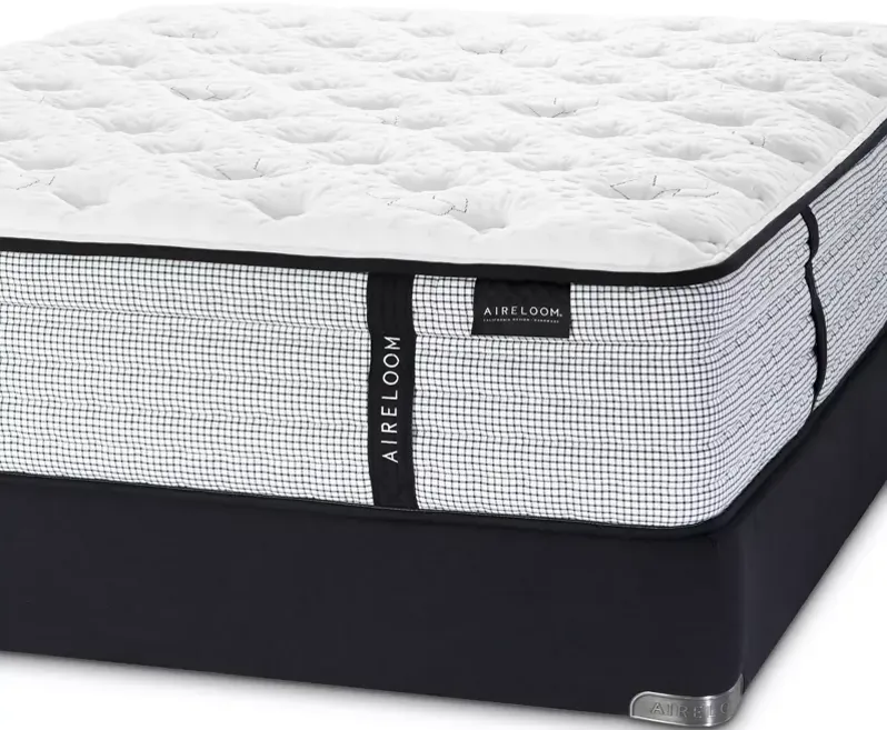 Aireloom Grant Firm Collection Queen Mattress & Box Spring Set - 100% Exclusive