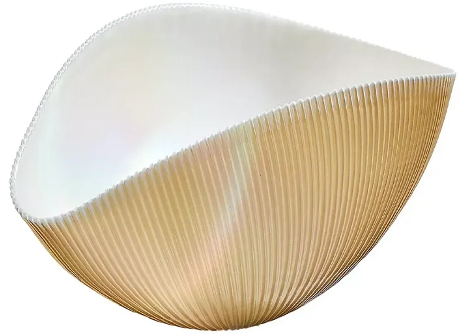 Global Views Pleated Bowl Camel/Ivory, Medium