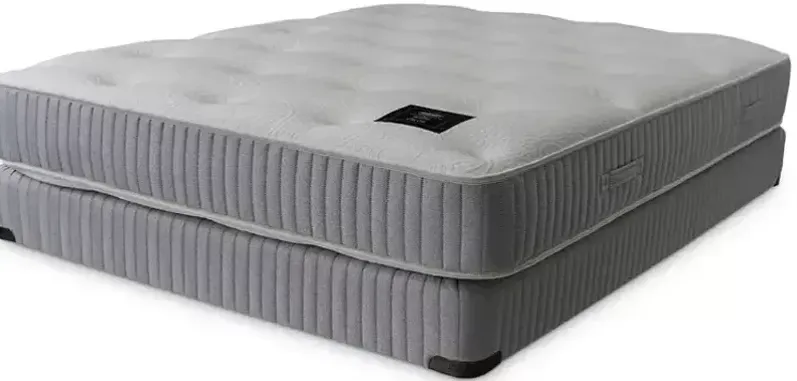 Shifman Valor Latex Twin Mattress Only - 100% Exclusive