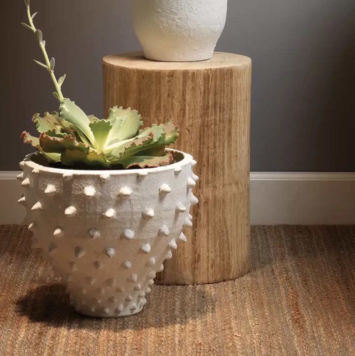 Jamie Young Company  Agave Side Table