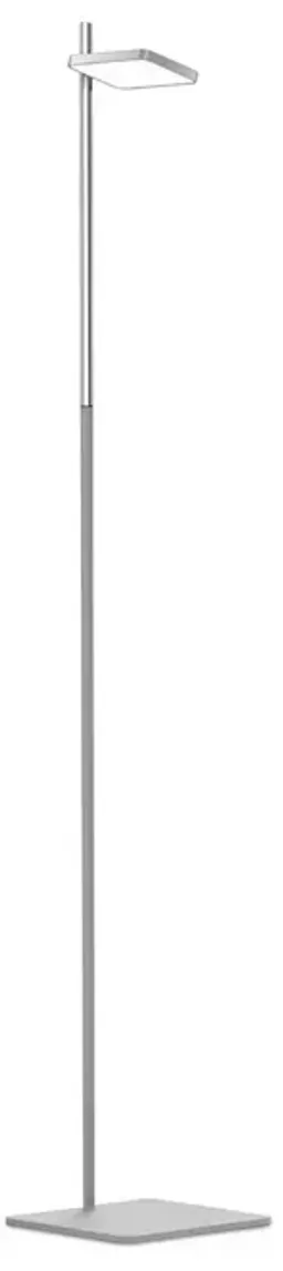 Gray color