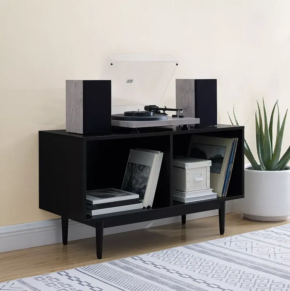 Sparrow & Wren Liam Medium Record Storage Console Cabinet