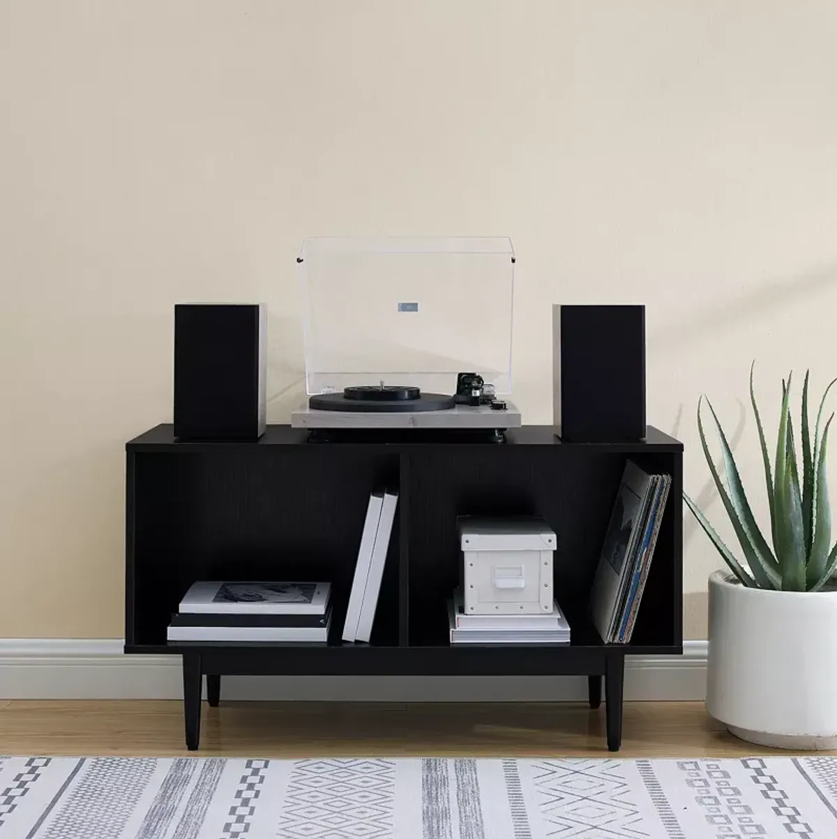 Sparrow & Wren Liam Medium Record Storage Console Cabinet