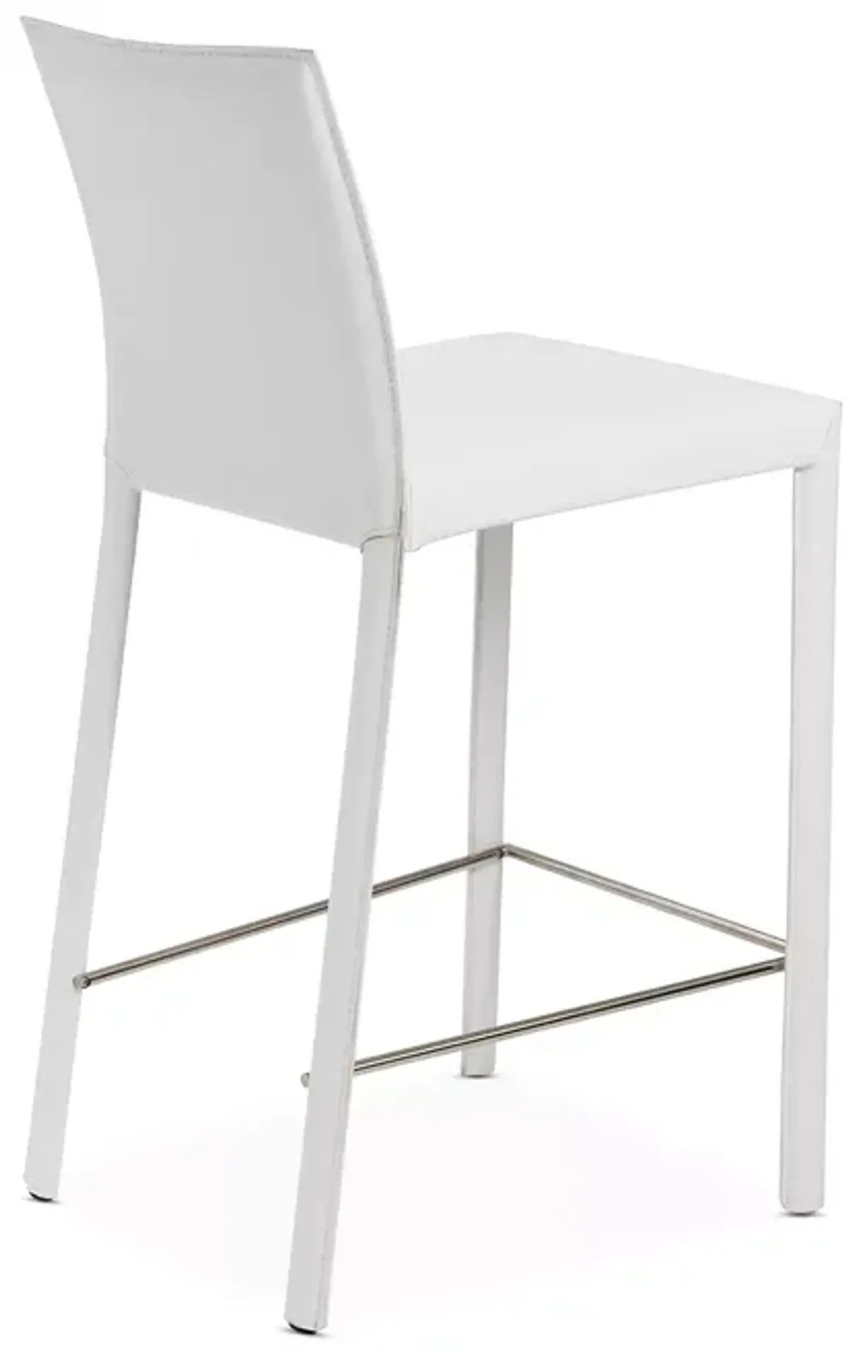 Euro Style Hasina Counter Stool, Set of 2