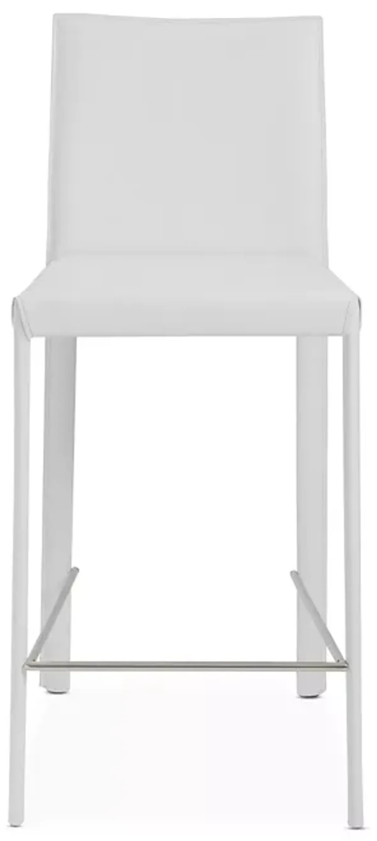 Euro Style Hasina Counter Stool, Set of 2