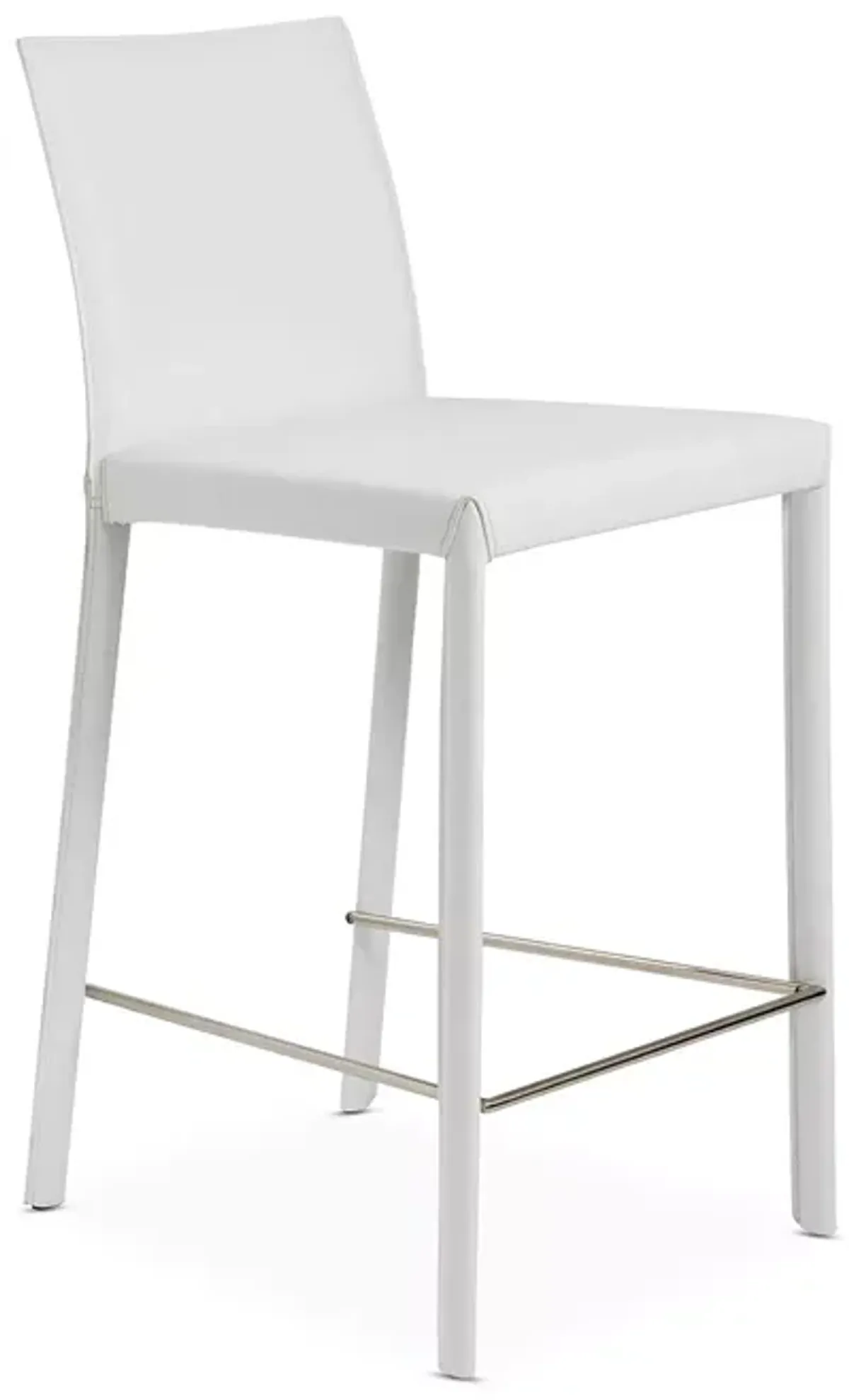 Euro Style Hasina Counter Stool, Set of 2