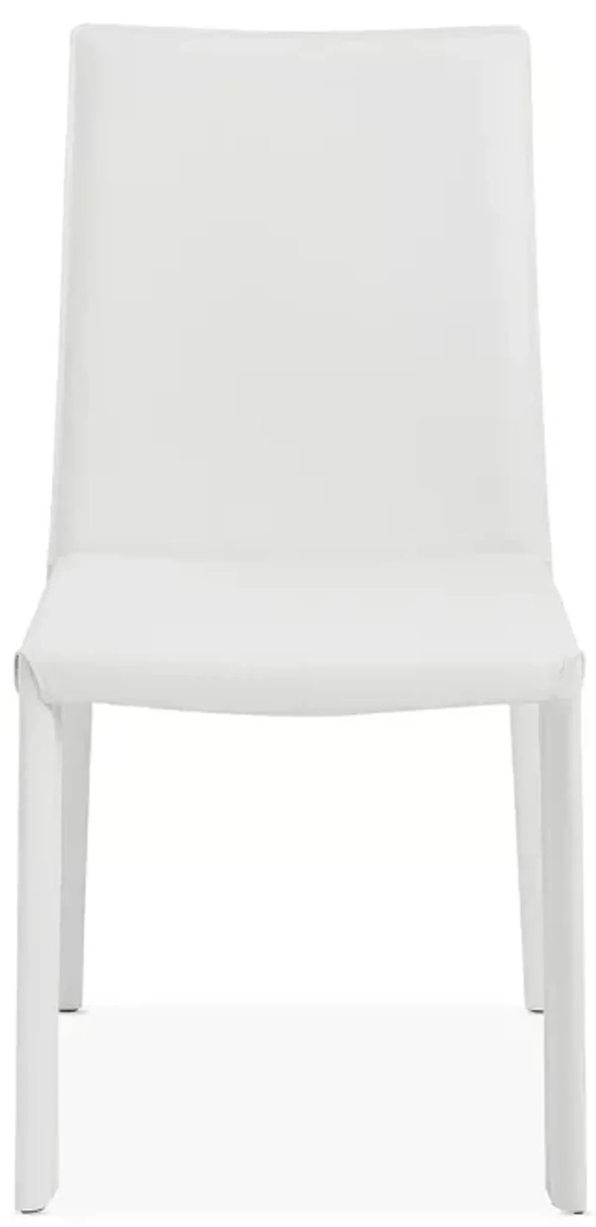 Euro Style Hasina Side Chairs, Set of 2