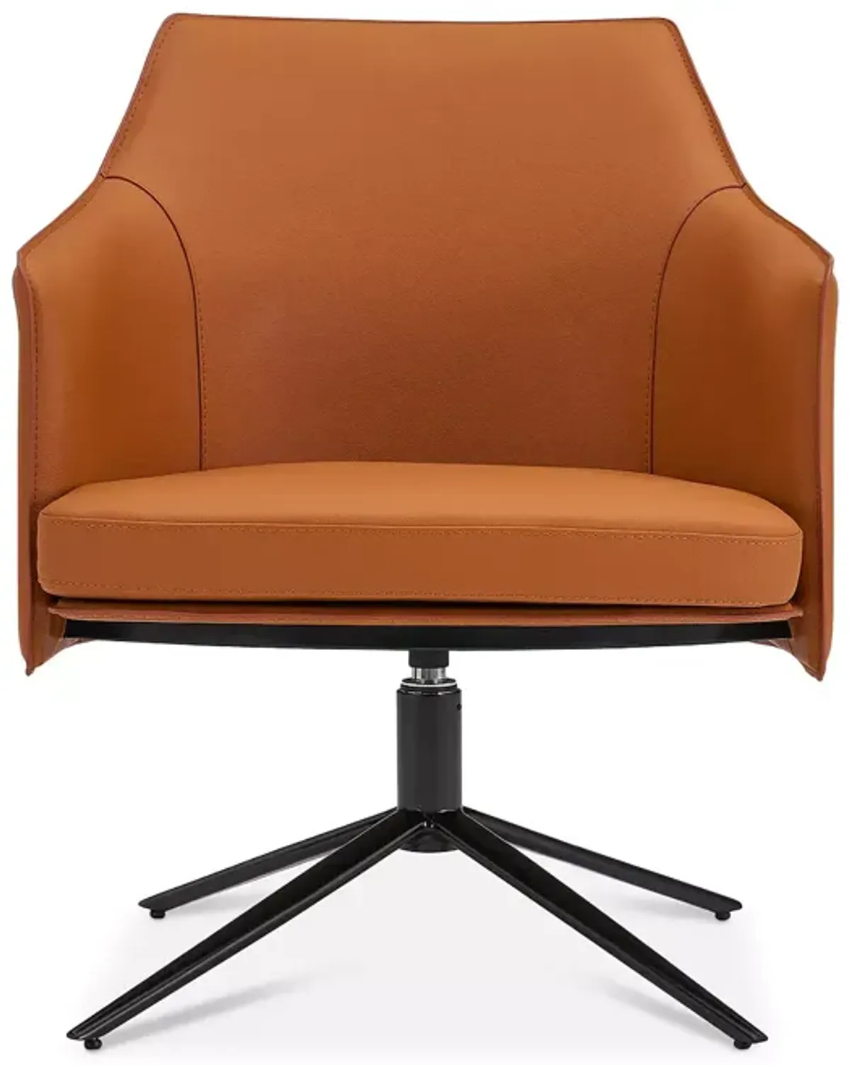 Euro Style Signa Lounge Chair