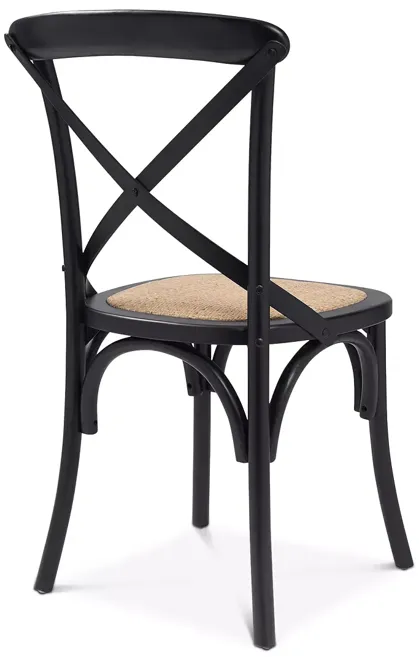 Euro Style Neyo Side Chair, Set of 2