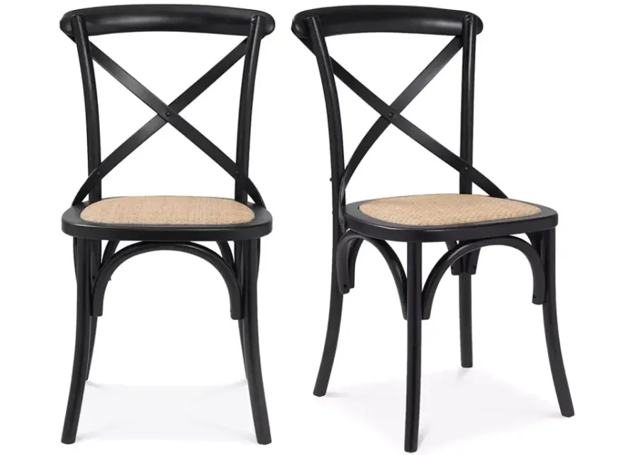 Euro Style Neyo Side Chair, Set of 2