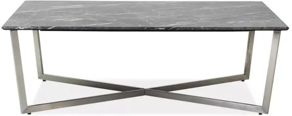Euro Style Llona 48" Rectangle Coffee Table