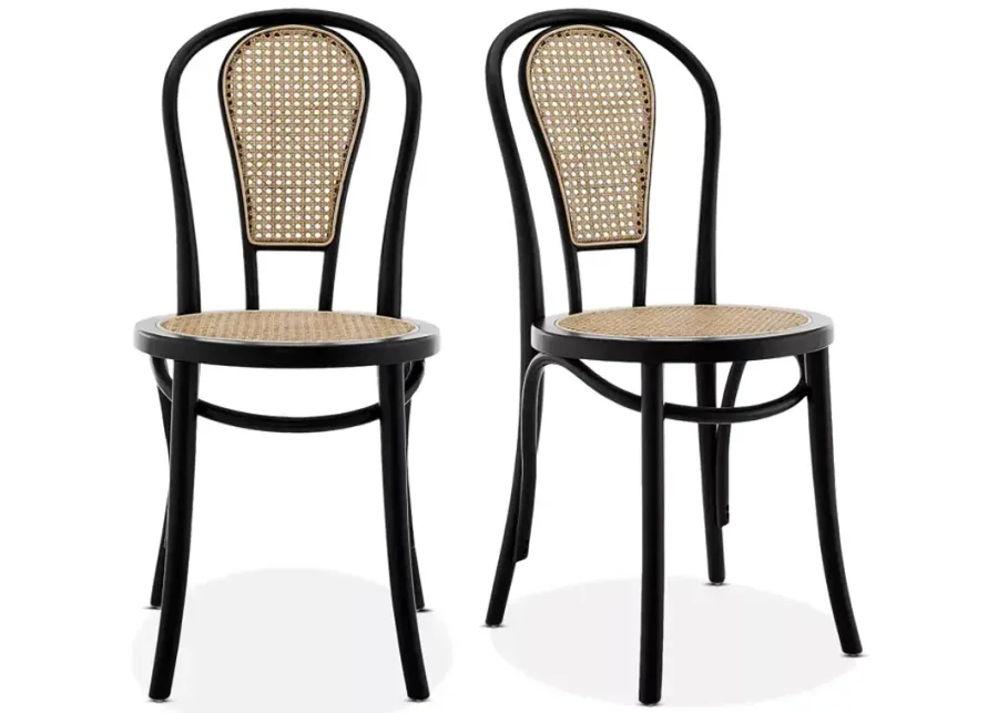 Euro Style Liva Side Chair, Set of 2