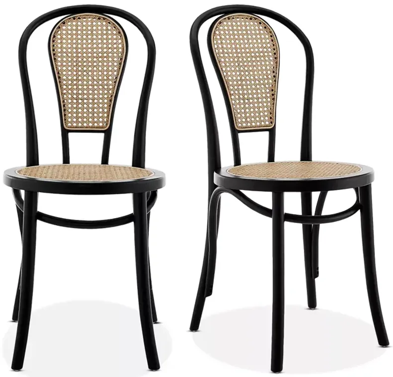 Euro Style Liva Side Chair, Set of 2
