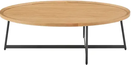 Euro Style Niklaus 47" Oval Coffee Table