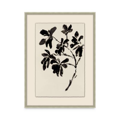 Bloomingdale's Artisan Collection Ink Botanical 1  