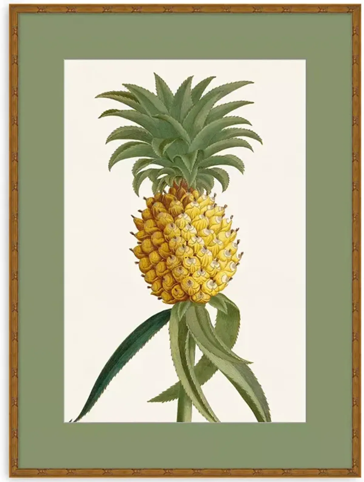 Wendover Art Group Tropic Foliage 1 Wall Art