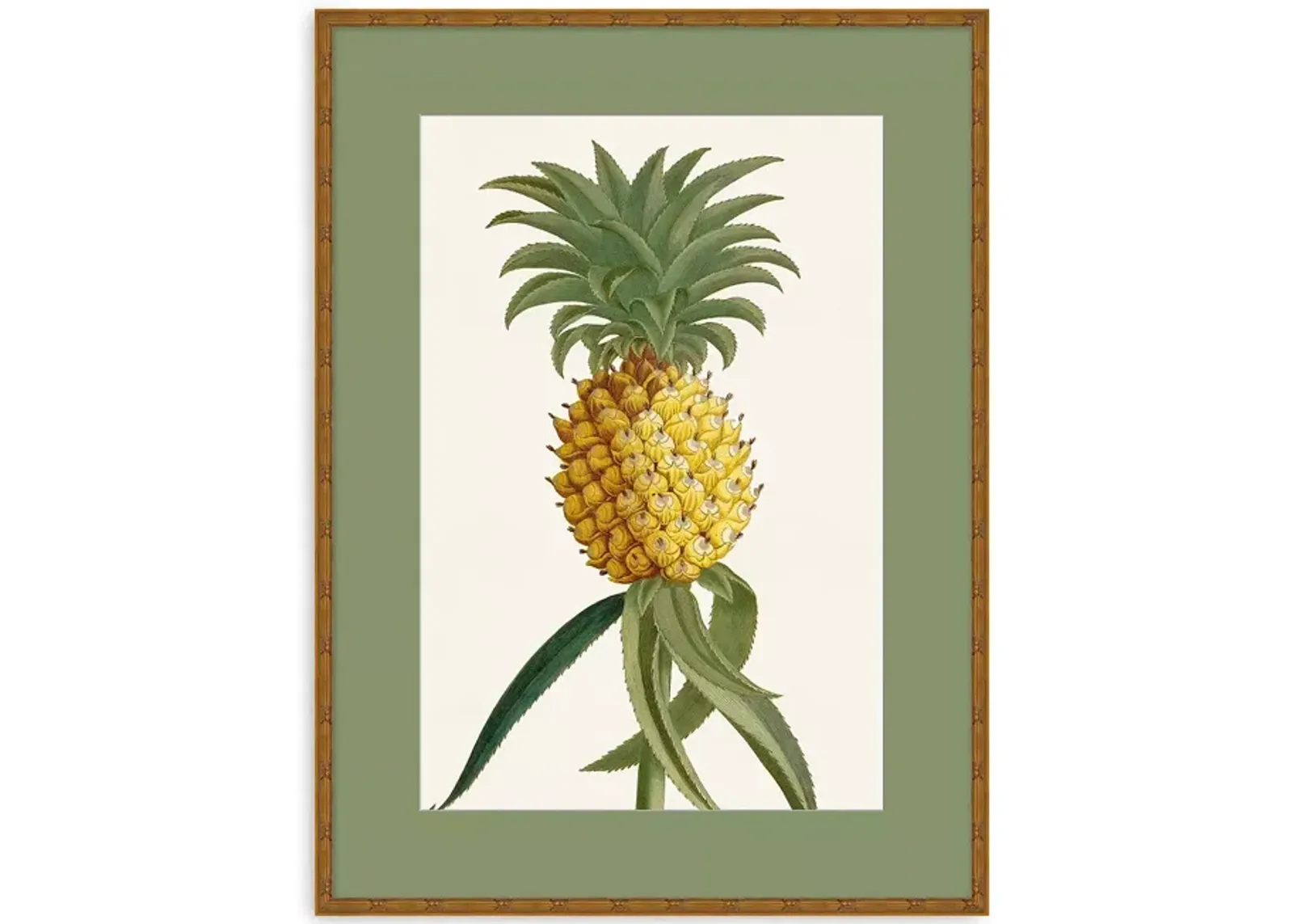 Wendover Art Group Tropic Foliage 1 Wall Art