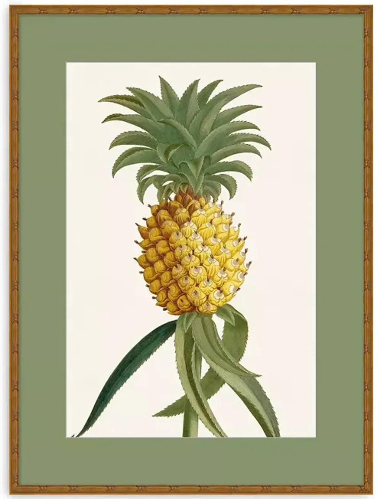 Wendover Art Group Tropic Foliage 1 Wall Art