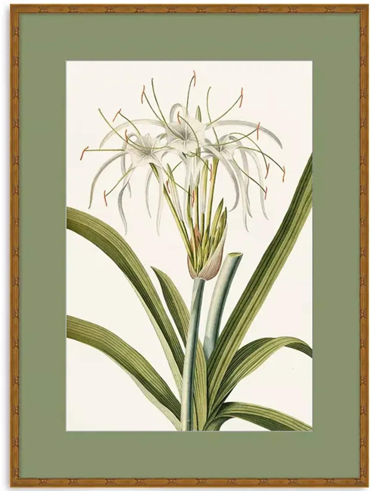 Wendover Art Group Tropic Foliage 5 Wall Art