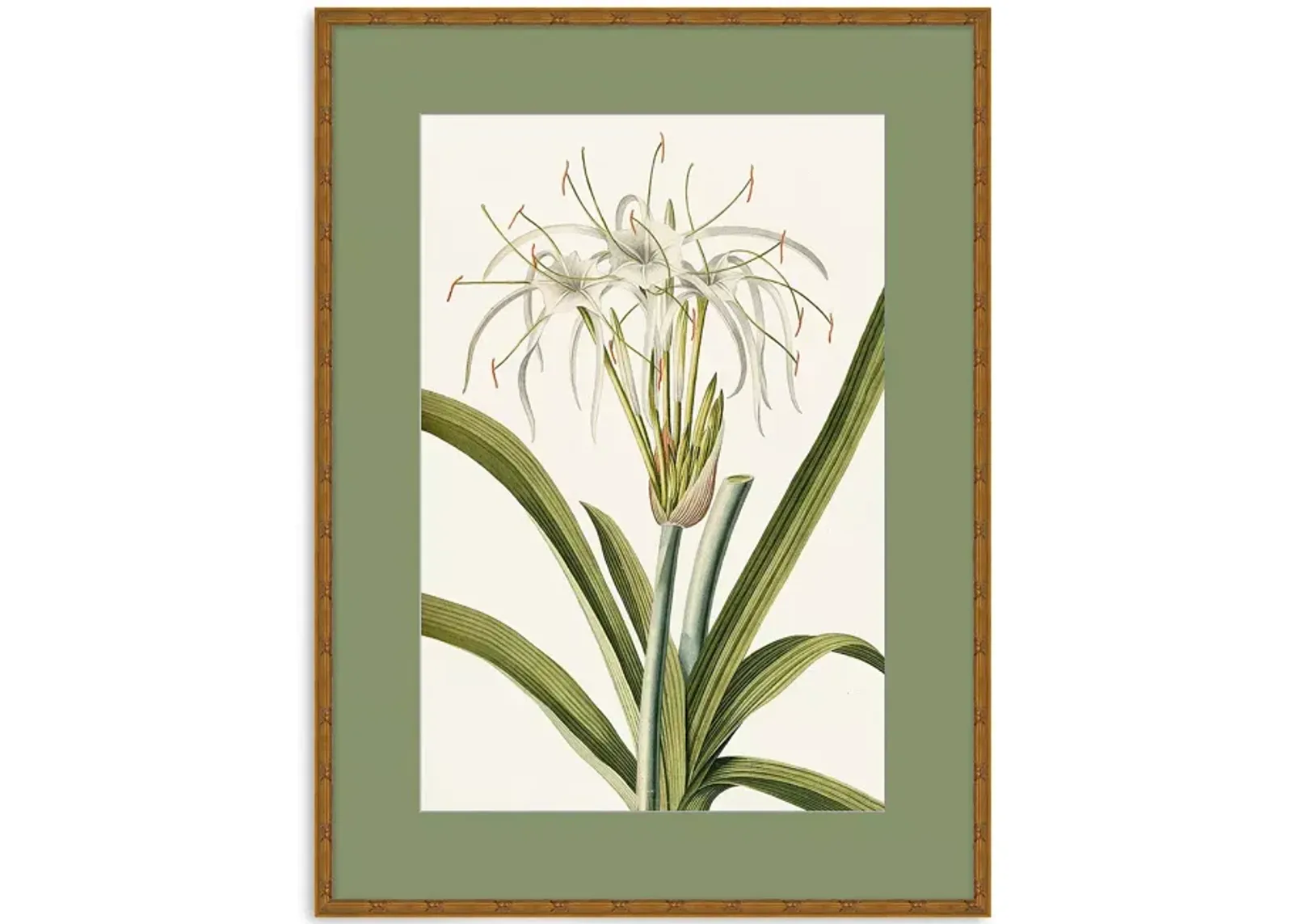 Wendover Art Group Tropic Foliage 5 Wall Art