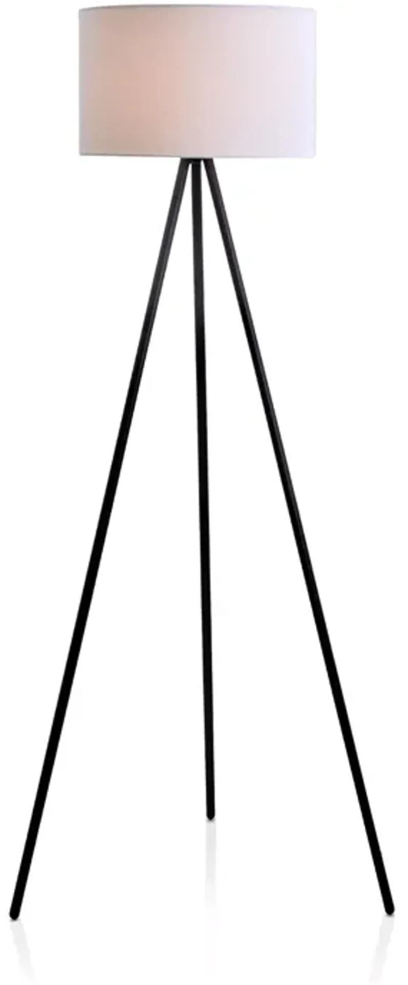 Cresswell Hayden 61" Tripod Floor Lamp 