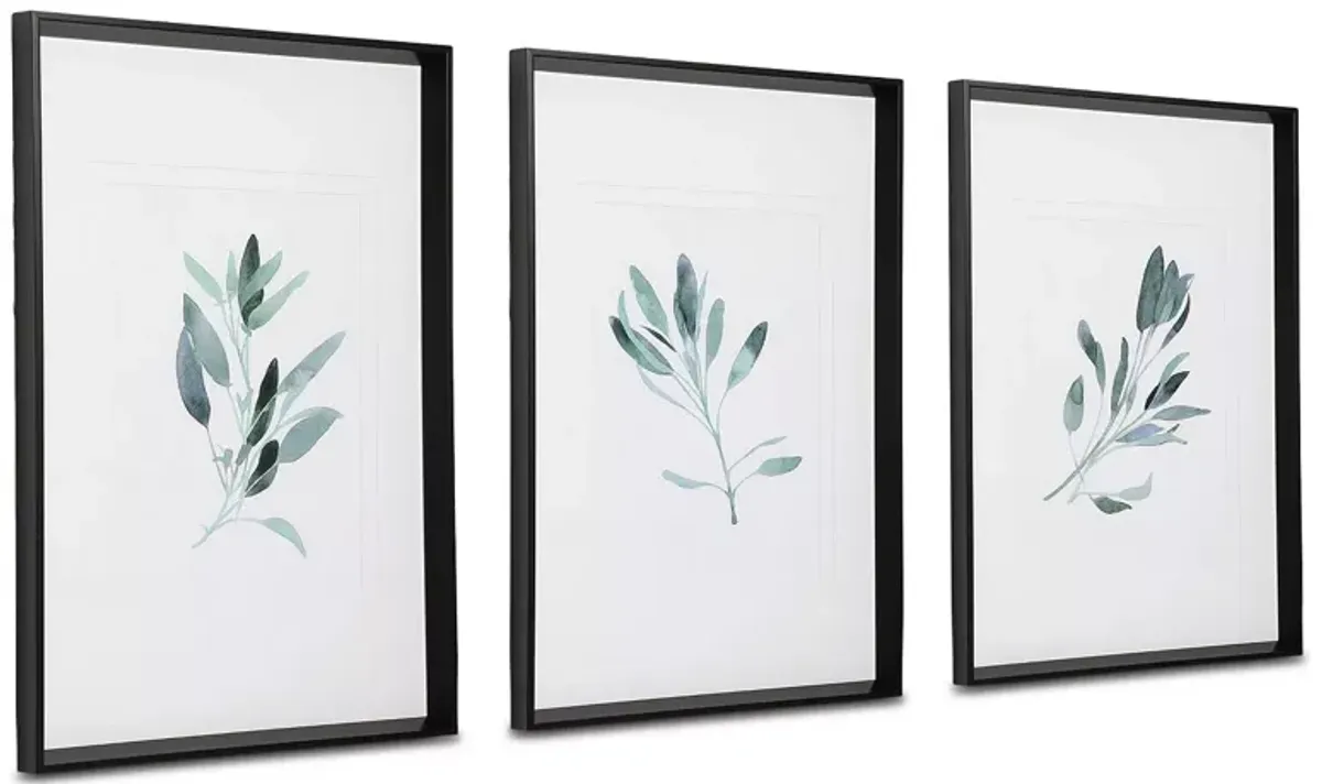 Uttermost Simple Sage Watercolor Prints, Set of 3