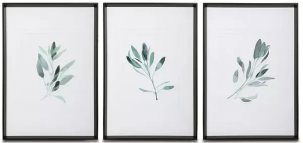 Uttermost Simple Sage Watercolor Prints, Set of 3