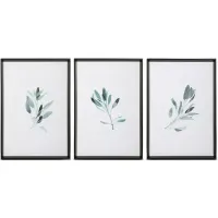 Uttermost Simple Sage Watercolor Prints, Set of 3