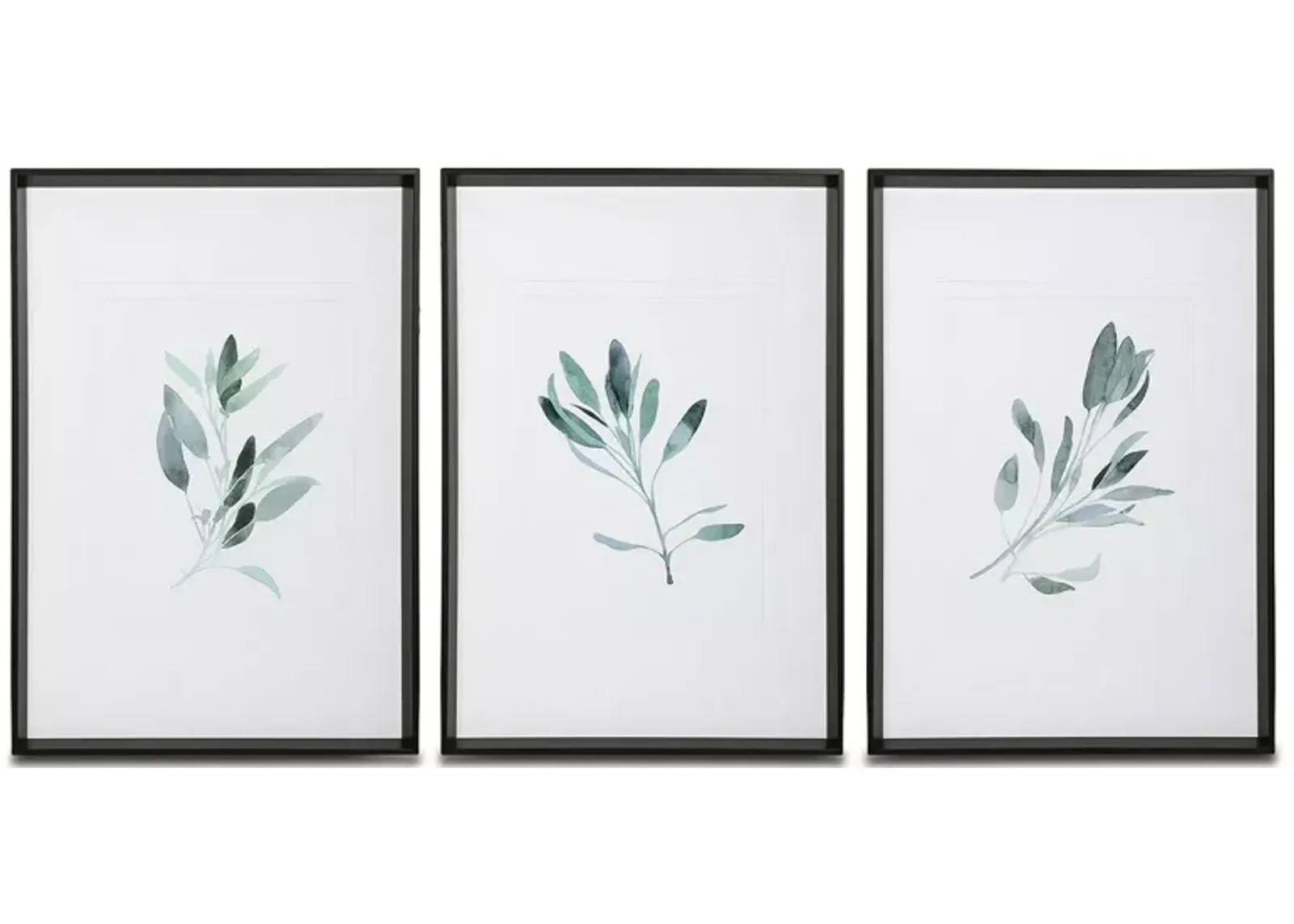 Uttermost Simple Sage Watercolor Prints, Set of 3