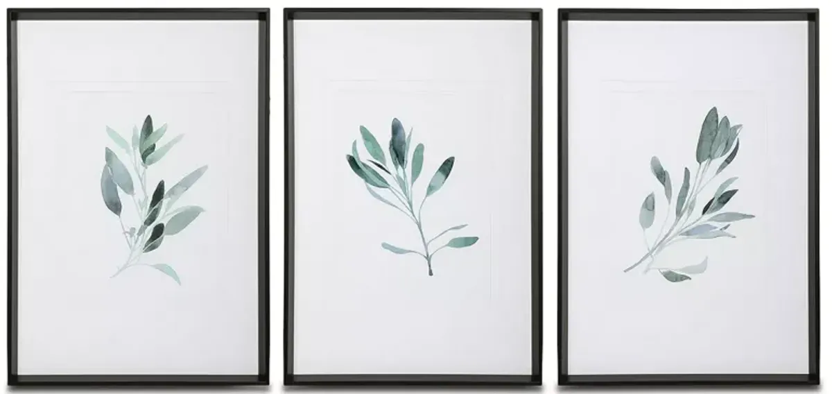 Uttermost Simple Sage Watercolor Prints, Set of 3